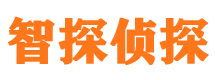 文昌外遇出轨调查取证